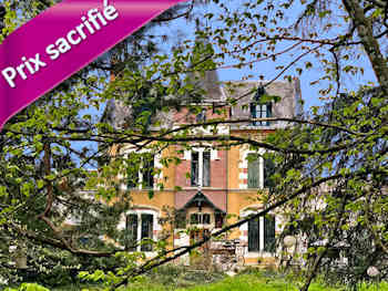 Villa Napoléon III 330 m², 15 pièces à vendre à 10 min de Vichy. Dépendance 3 pièces. Parc 1 ha, jardins