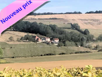 Propriété de 3 maisons et chai à vendre sur domaine 5 ha en Vallée de la Sioule (03): 12 pièces, piscine-spa